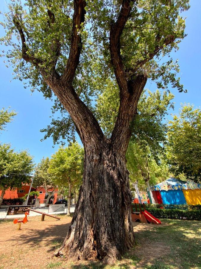 לינה וארוחת בוקר פראייה א מארה Al Vecchio Pioppo מראה חיצוני תמונה